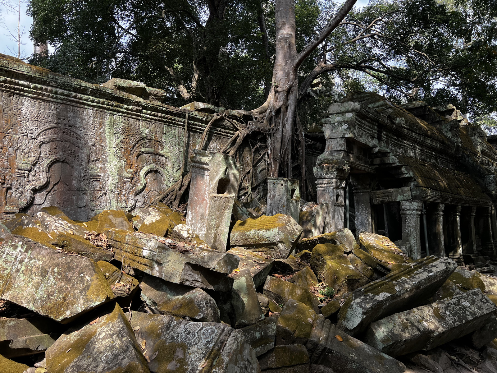 Photo Cambodge Siem Reap Ta Prohm 2023-01 137