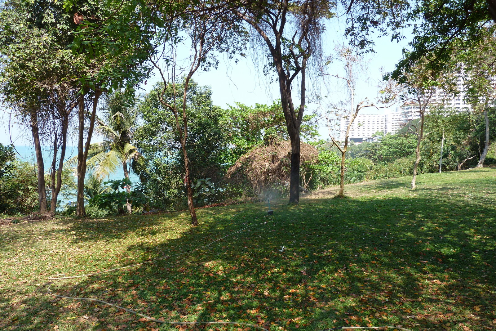 Photo Thaïlande Pattaya Plage Cosy 2011-01 2