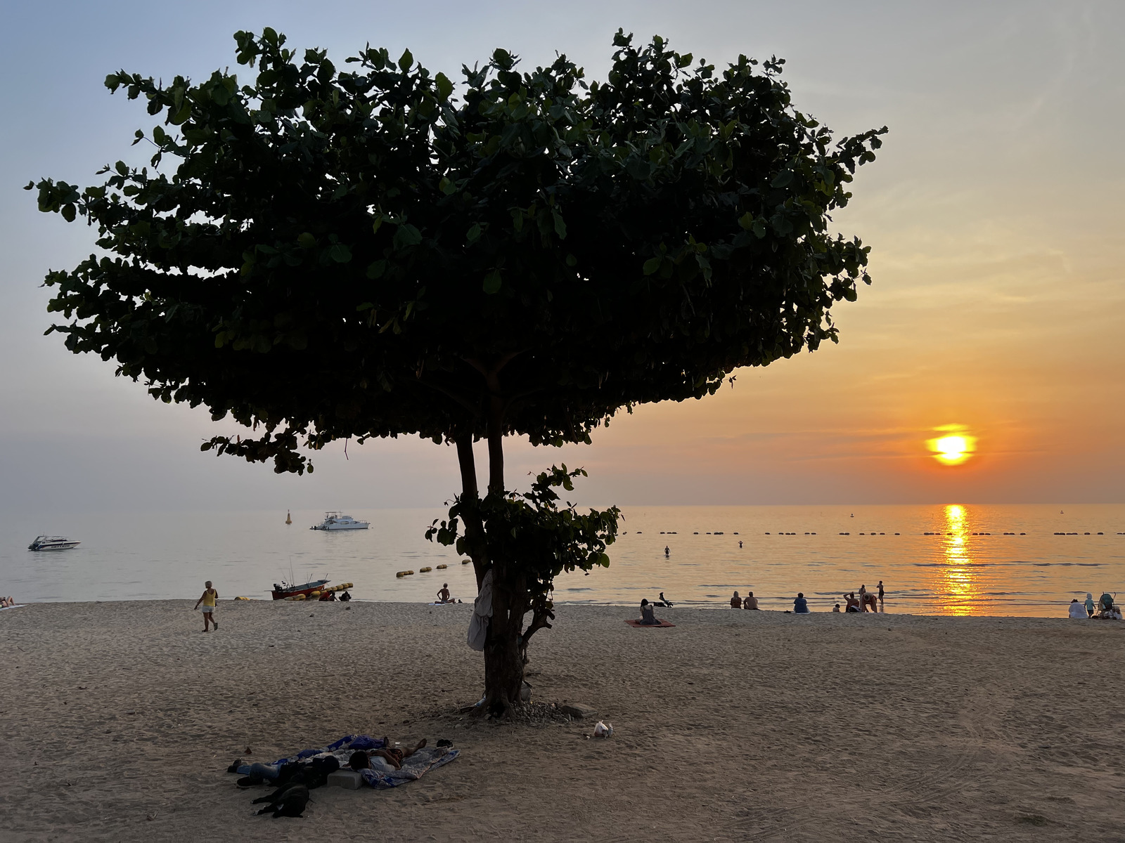 Photo Thaïlande Pattaya 2023-01 81