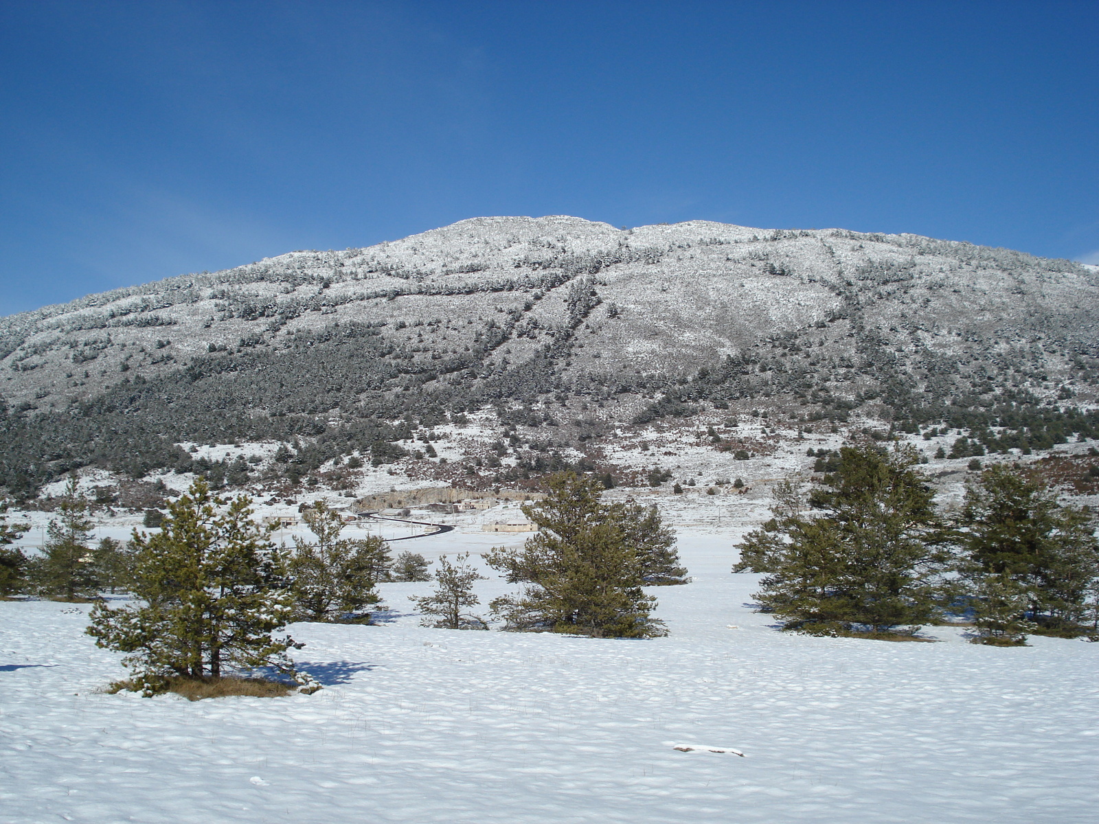 Photo France Route de Coursegoule à Gréolières les neiges 2007-01 108