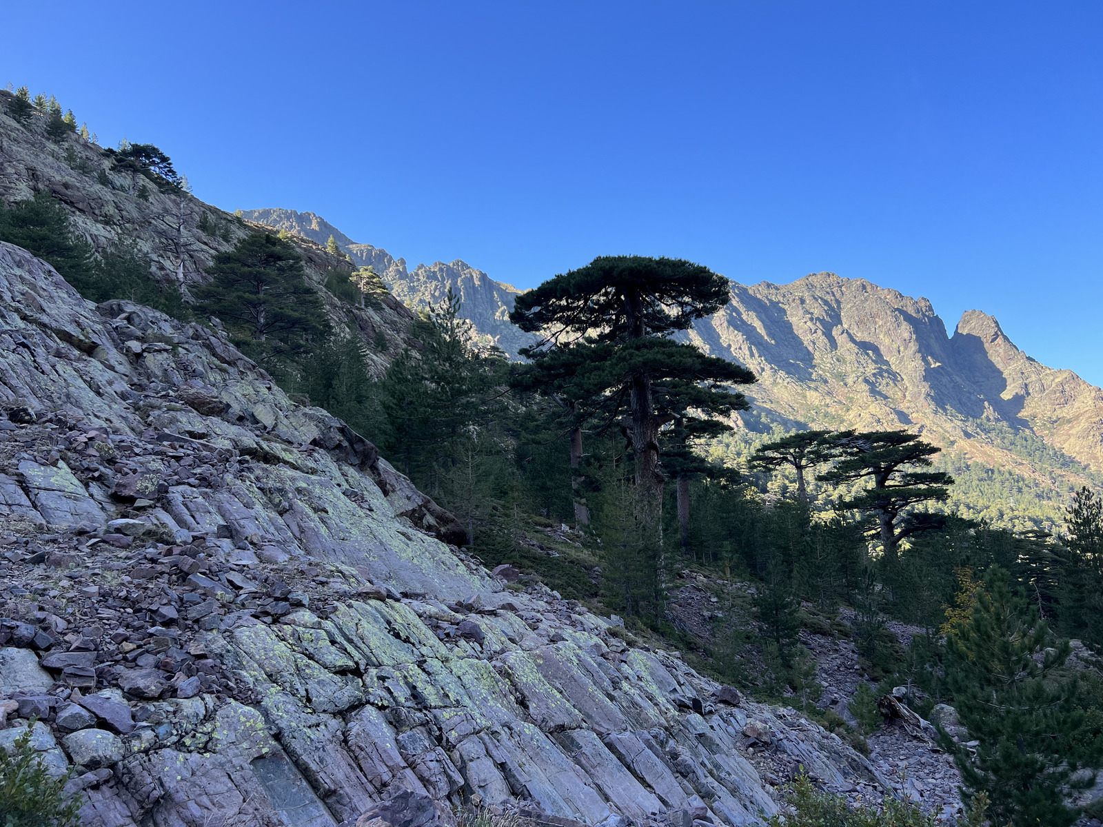 Photo France Corse Monte Cinto 2023-10 225