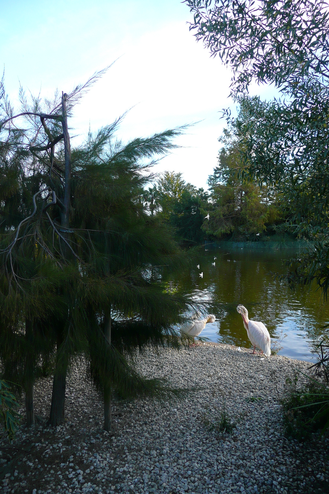 Photo France Nice Parc Phoenix 2007-10 58