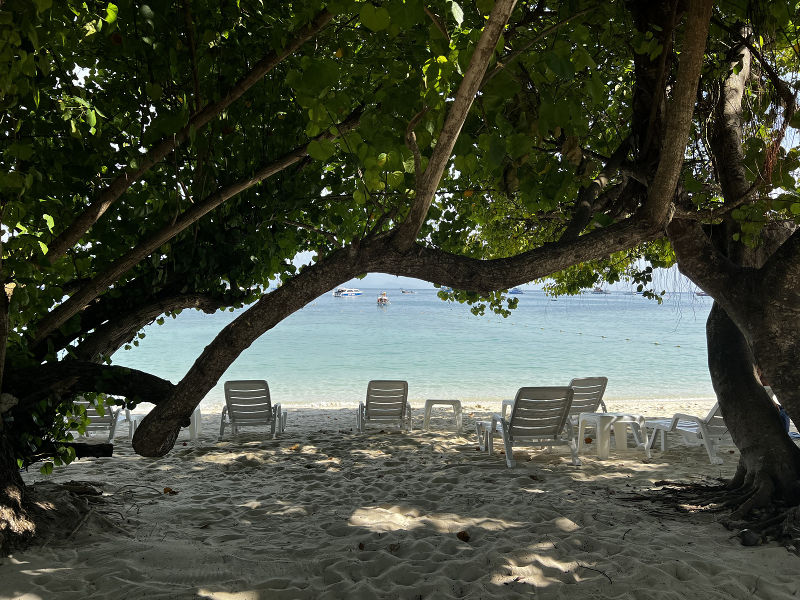 Photo Thaïlande Ko Phi Phi Don 2021-12 93