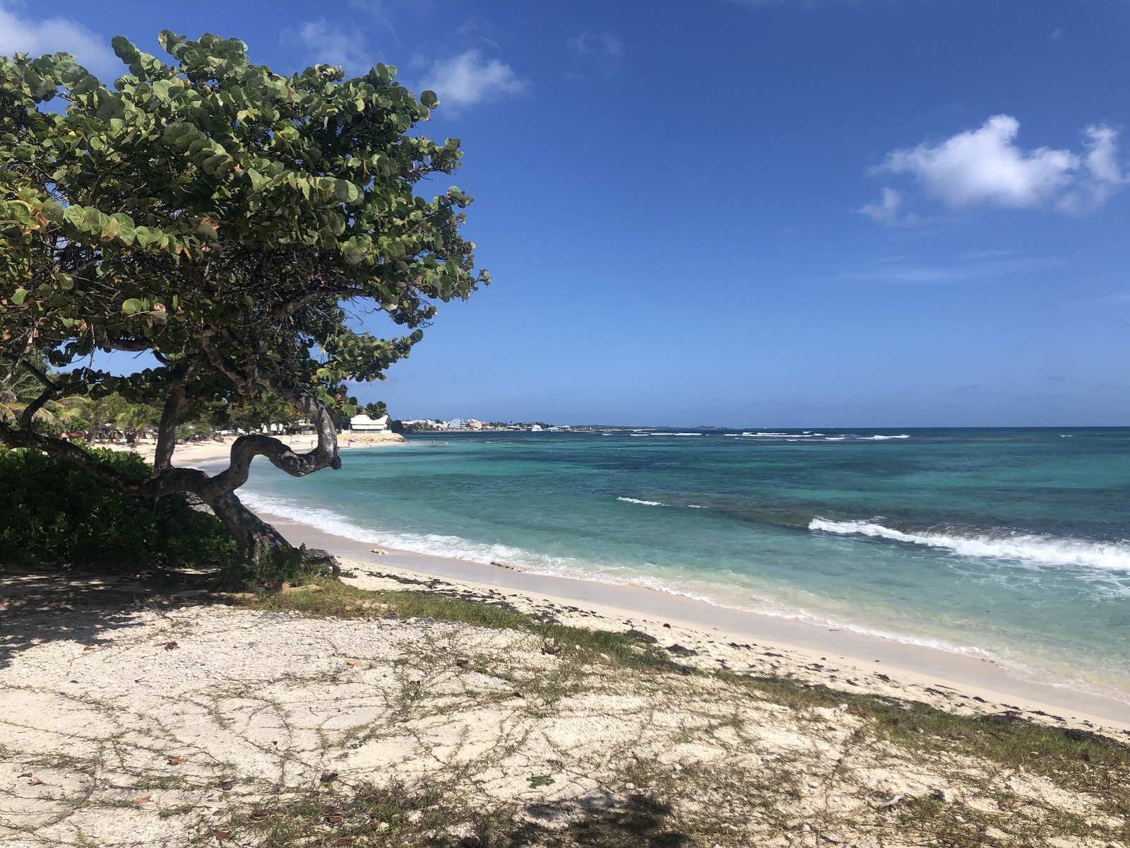 Photo Guadeloupe Saint François 2021-02 38