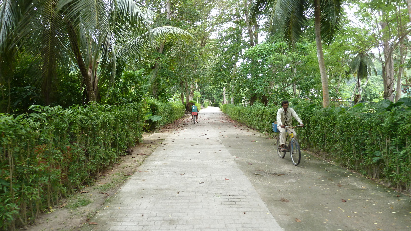 Photo Seychelles La Digue 2011-10 205