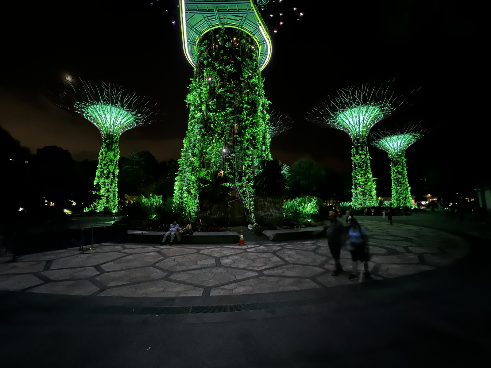 Photo Singapour Garden by the bay 2023-01 52