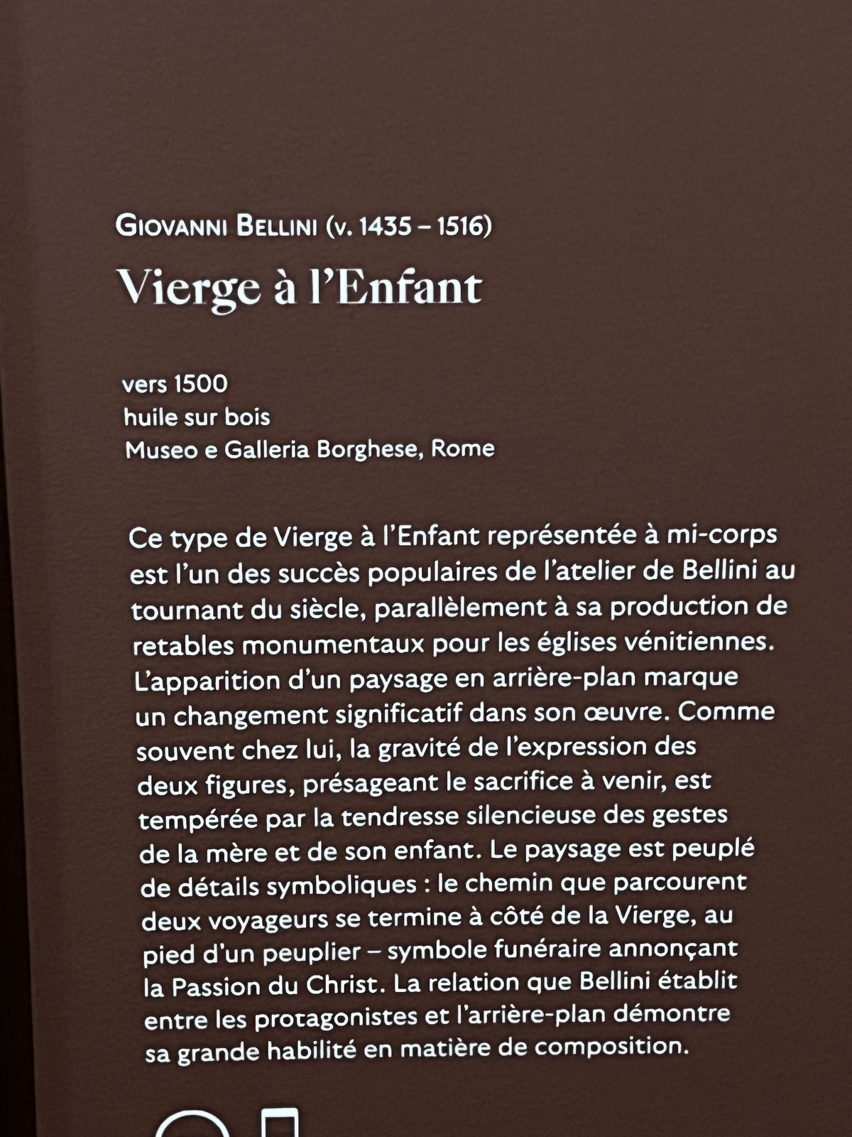 Photo France Paris Musée Jacquemart André 2023-04 128