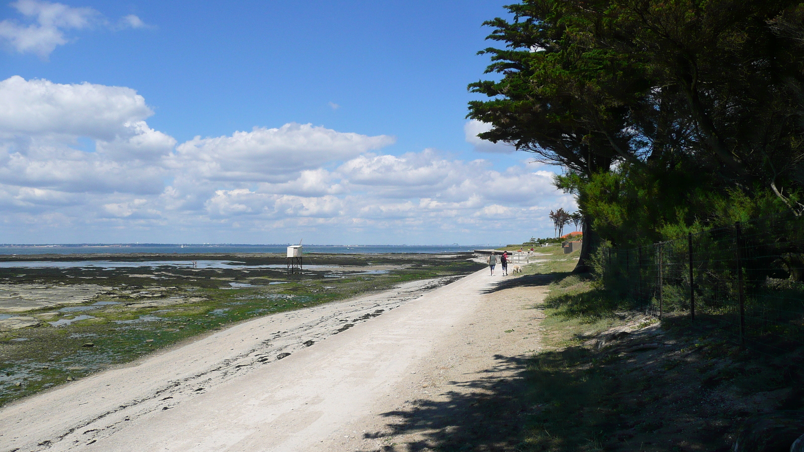 Photo France Préfailles La pointe Saint Gildas à La Pree 2007-08 54