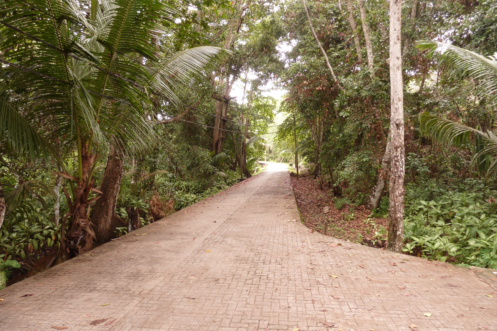Photo Seychelles La Digue 2011-10 202
