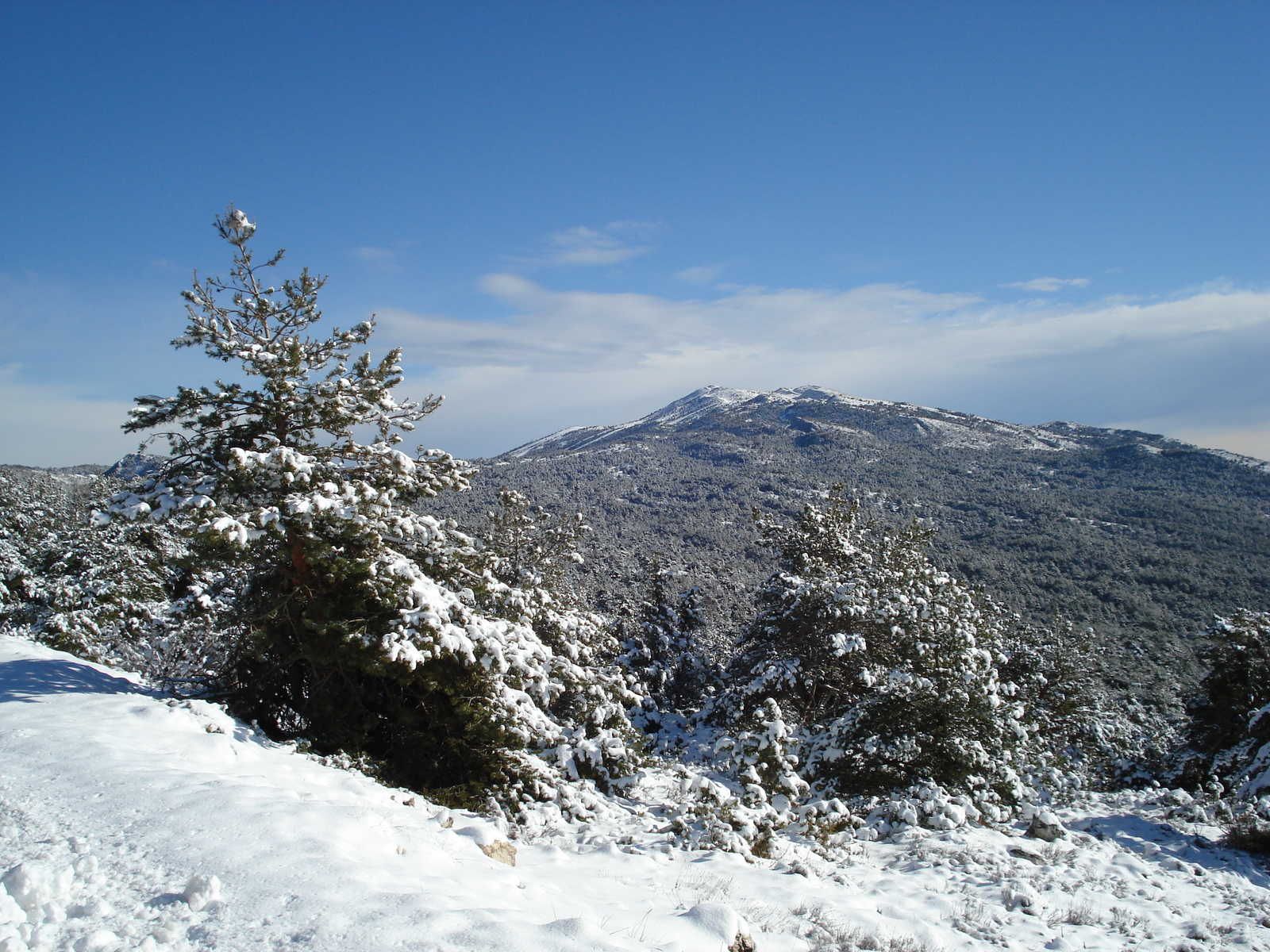 Photo France Route de Coursegoule à Gréolières les neiges 2007-01 68