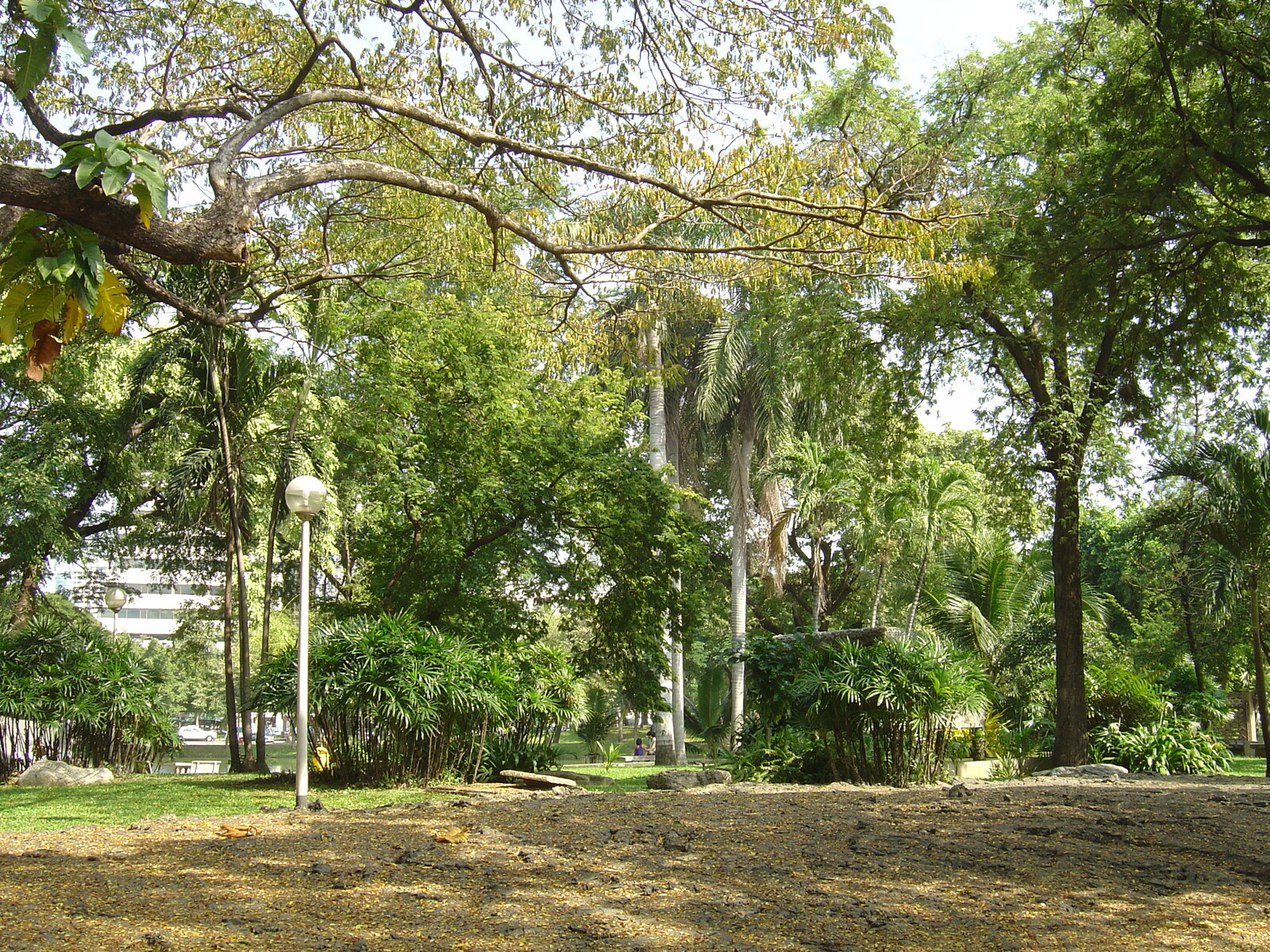 Photo Thaïlande Bangkok Parc Lumpini 2005-12 18