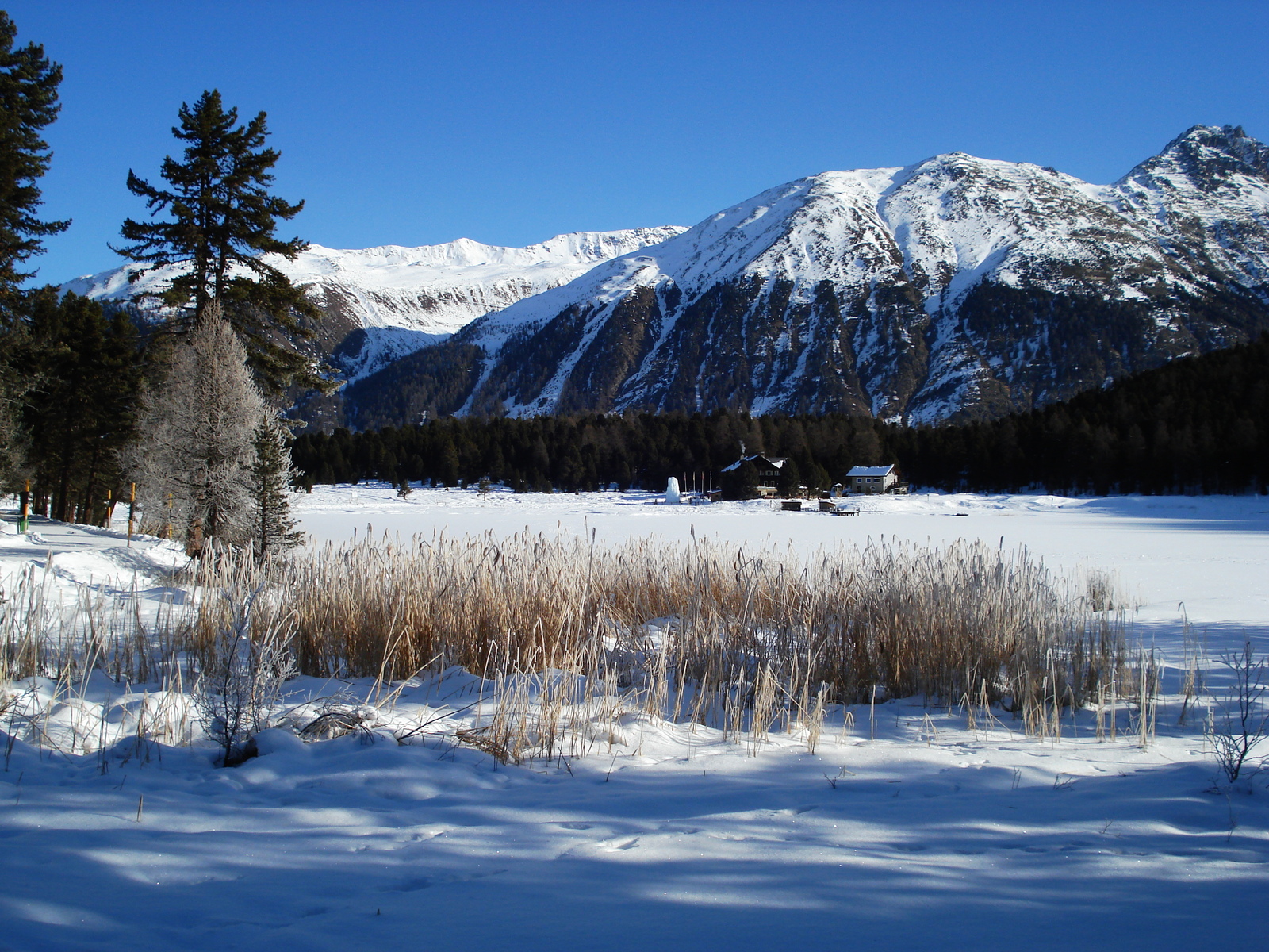 Photo Suisse Saint Moritz Schlarigna 2007-01 80