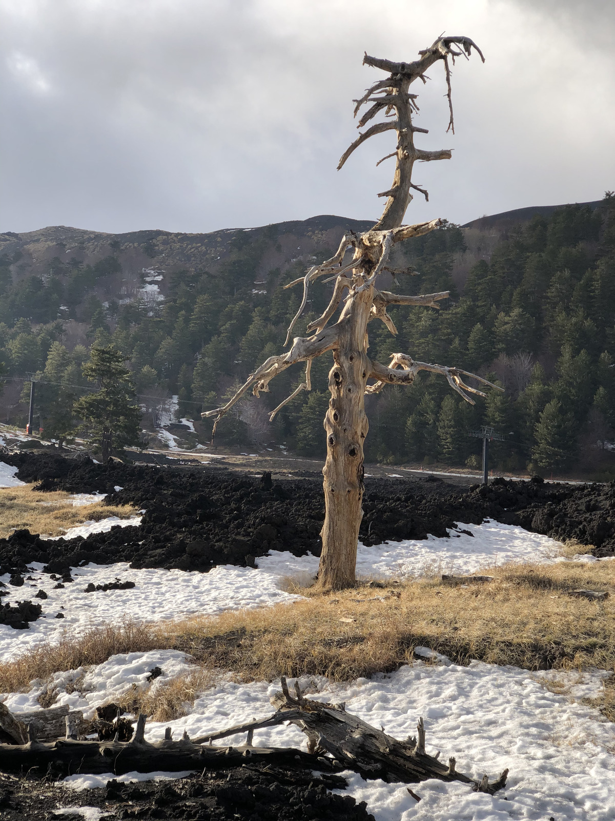 Photo Italie Sicile L'Etna 2020-02 15