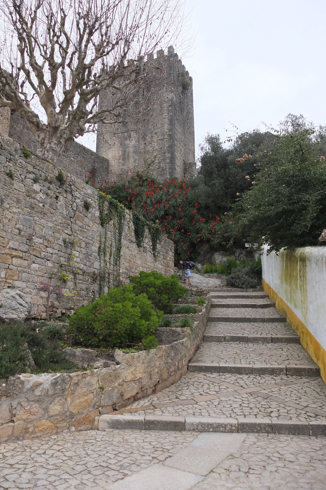 Photo Portugal Obidos 2013-01 10