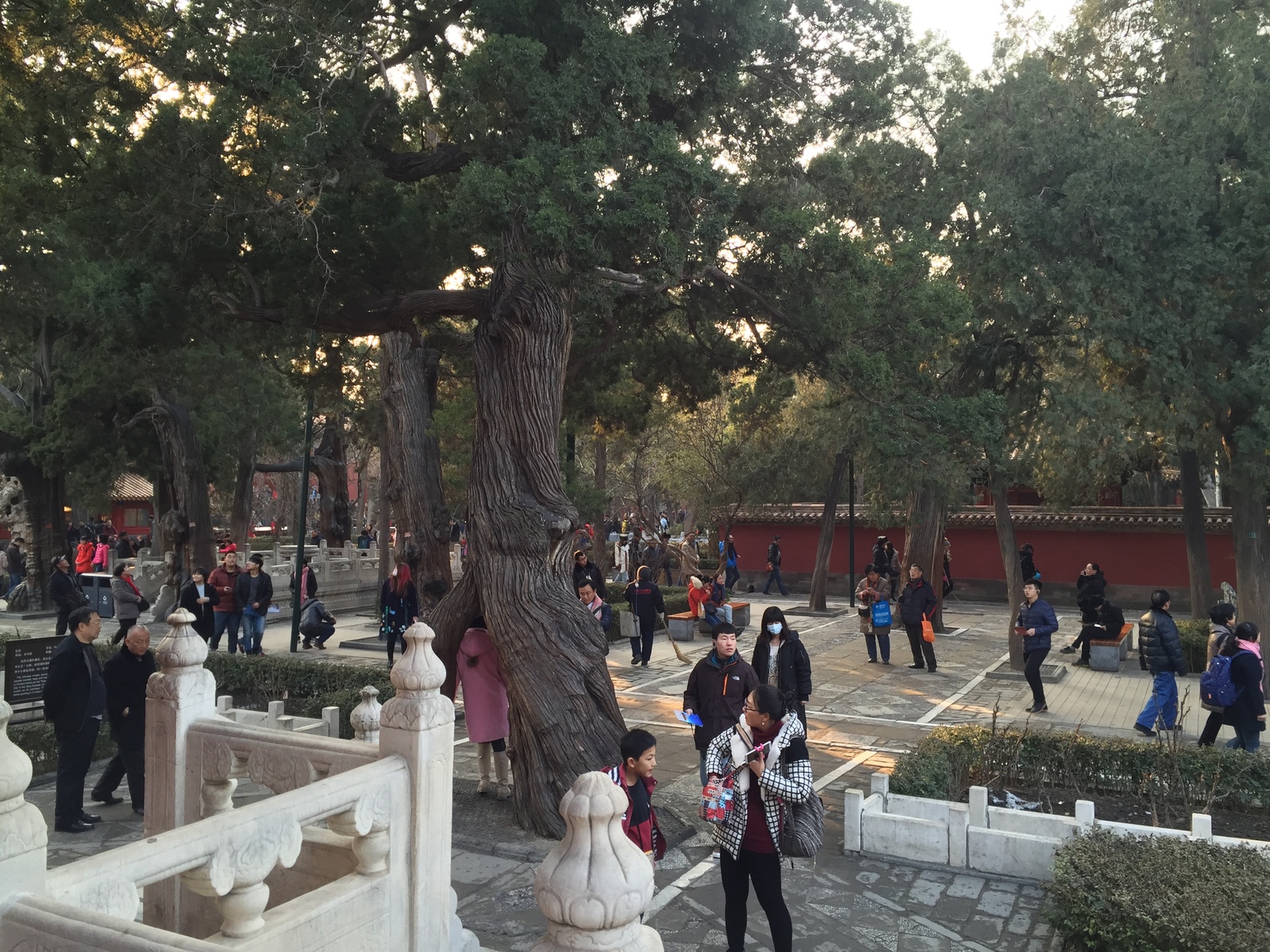 Photo Chine Pékin Cité Interdite 2015-12 192