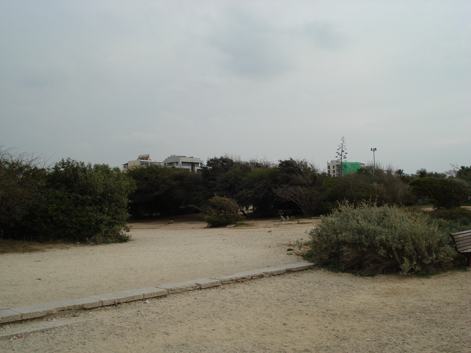 Photo Israel Tel Aviv Tel Aviv bord de mer 2006-12 167