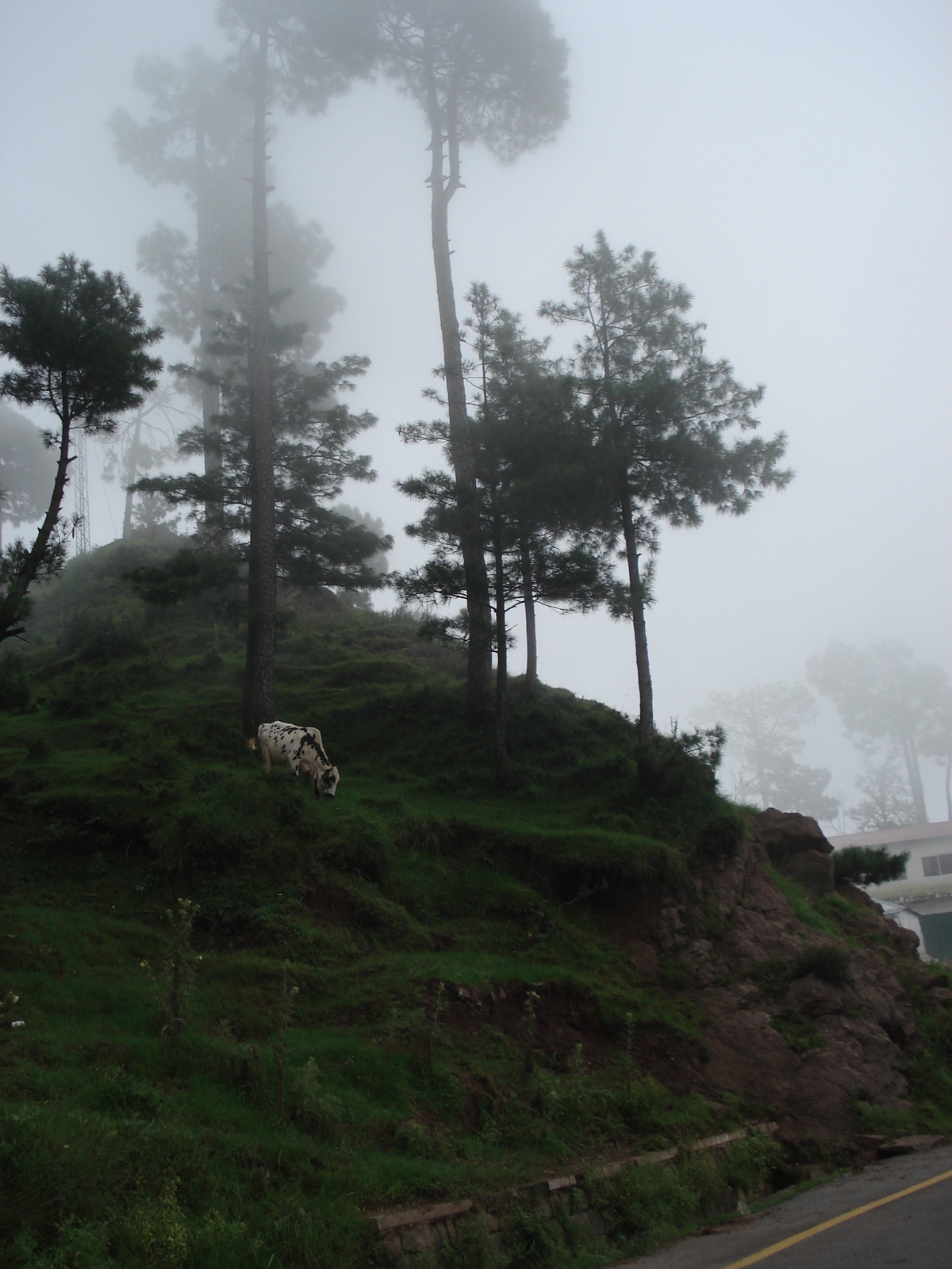 Photo Pakistan Murree 2006-08 145
