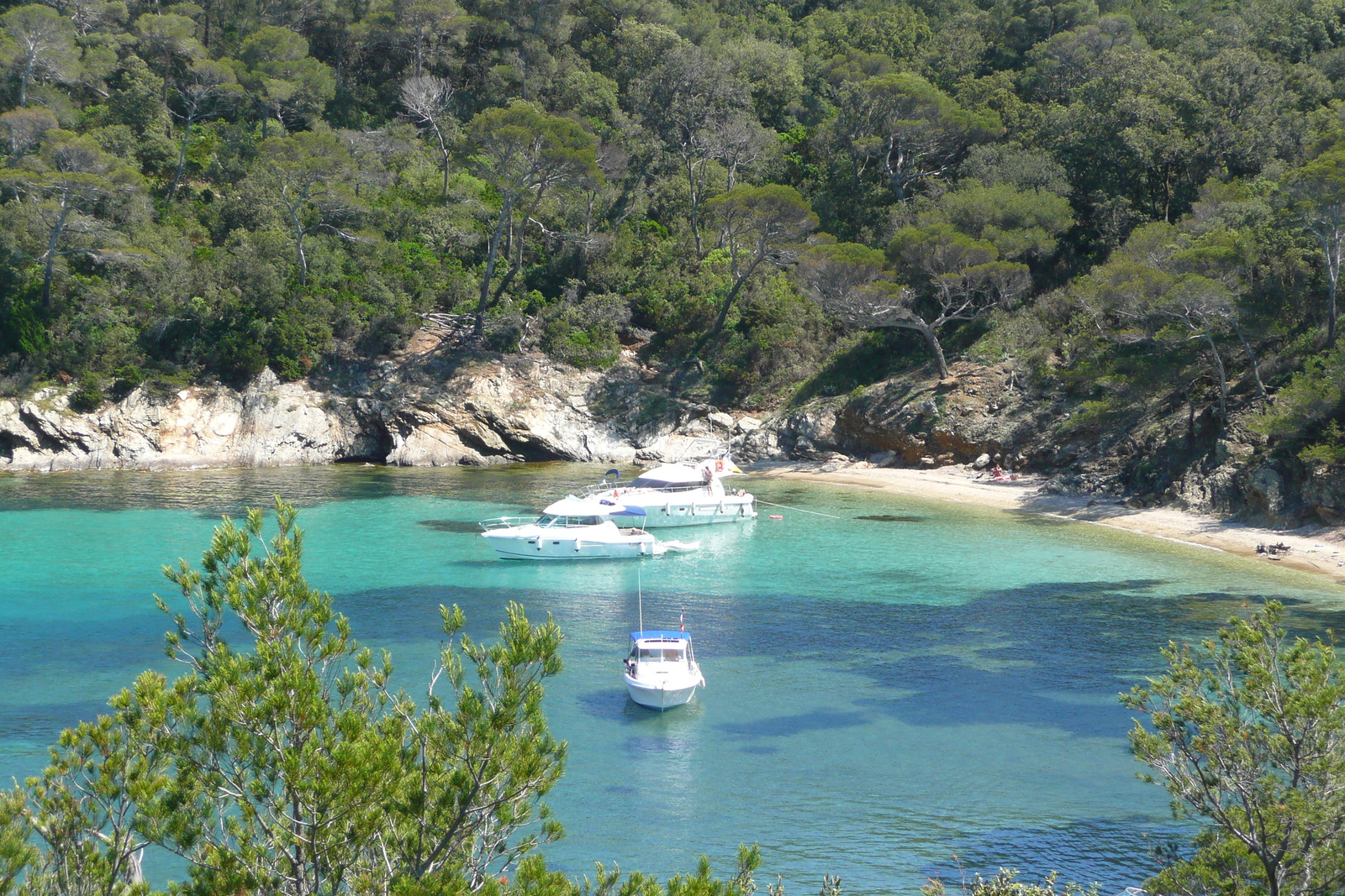 Photo France Ile de Porquerolles Plage d'Alycastre 2008-05 11