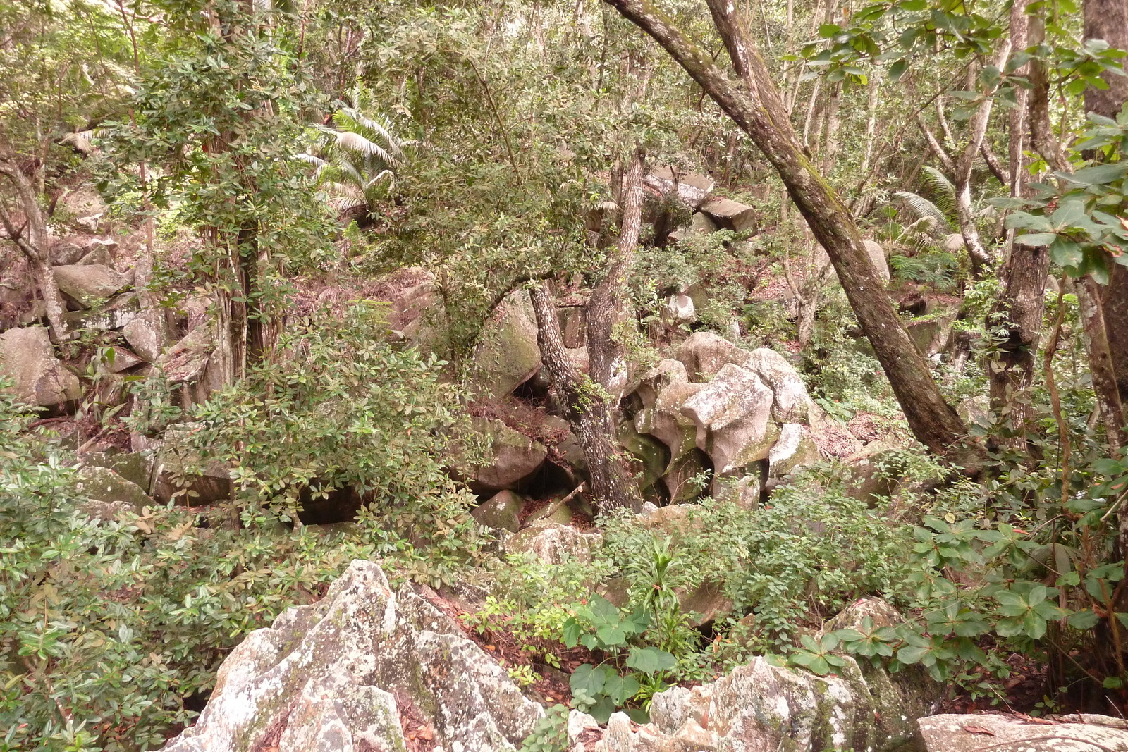 Photo Seychelles La Digue 2011-10 91