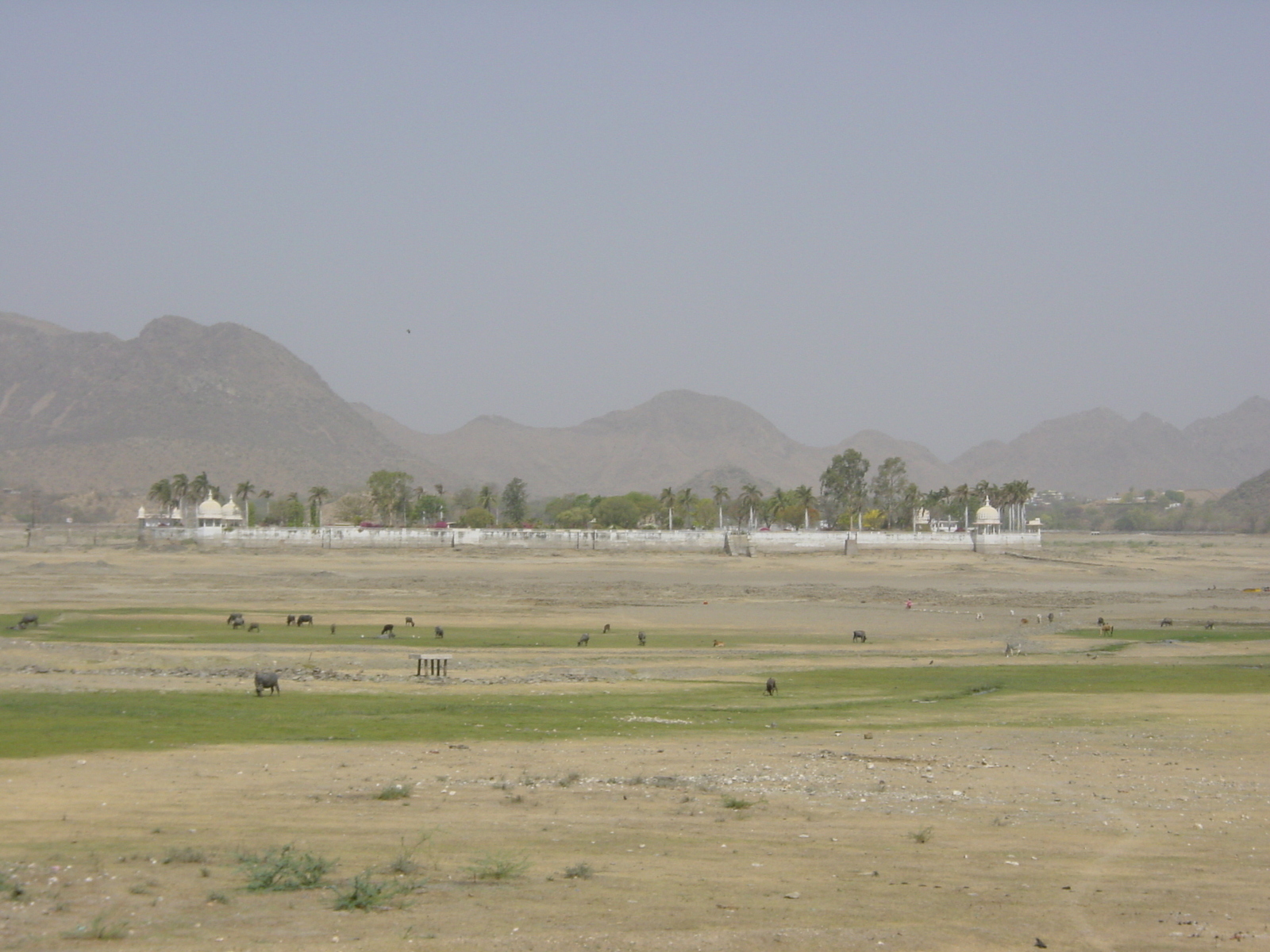 Photo Inde Udaipur 2003-05 13