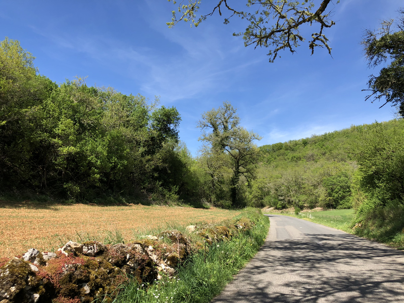 Photo France Floirac 2018-04 24