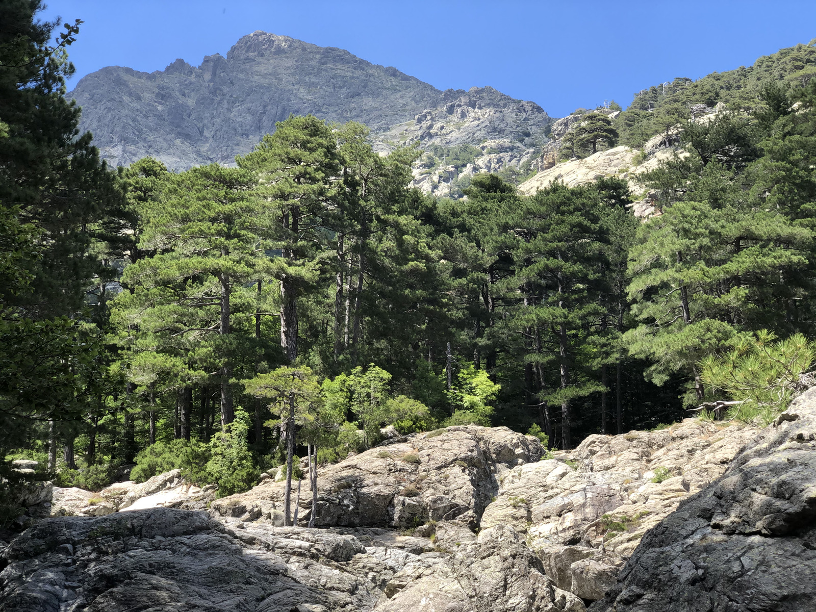 Photo France Corse Cascade des Anglais 2020-07 53