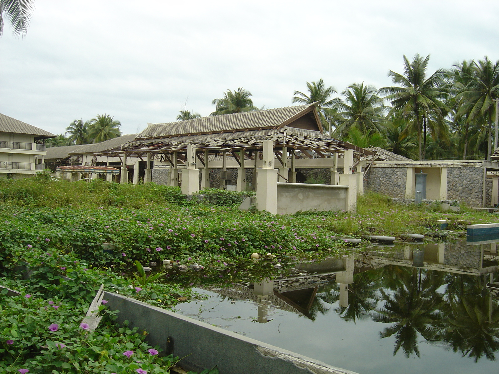 Photo Thaïlande Khao Lak 2005-12 8