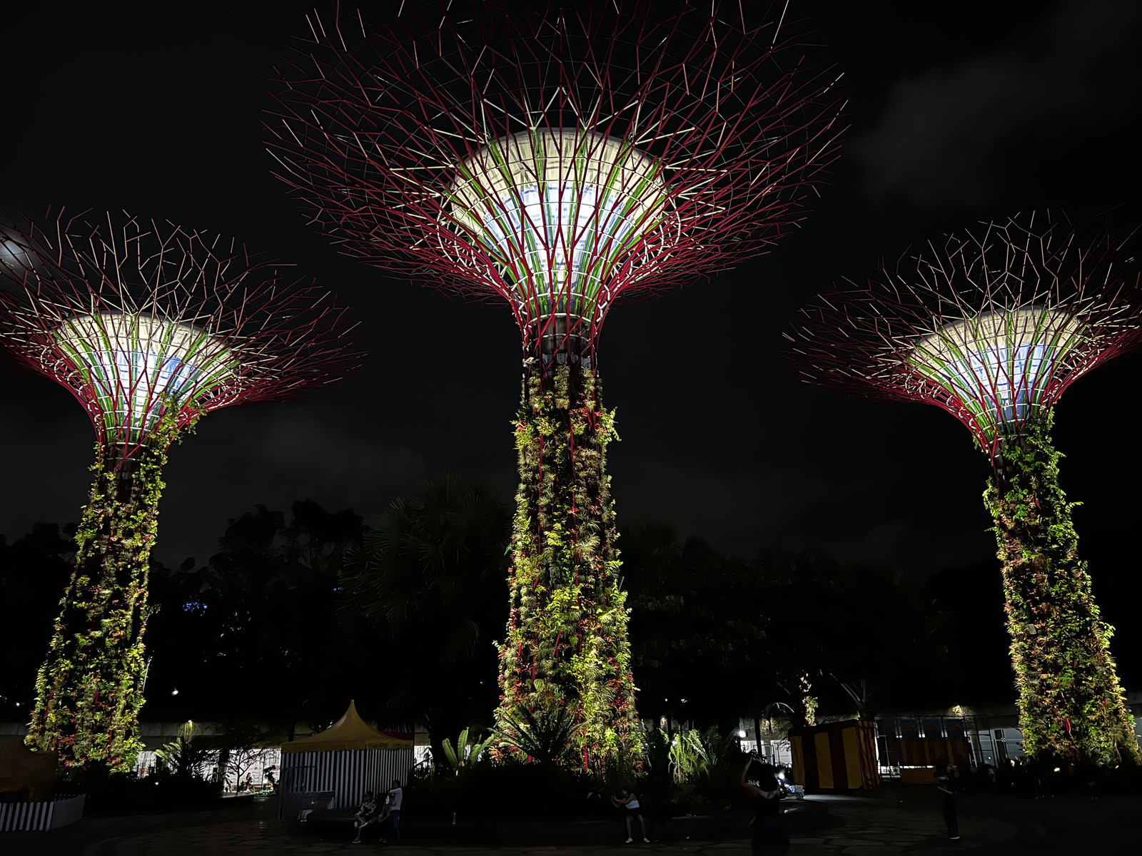 Photo Singapour Garden by the bay 2023-01 12