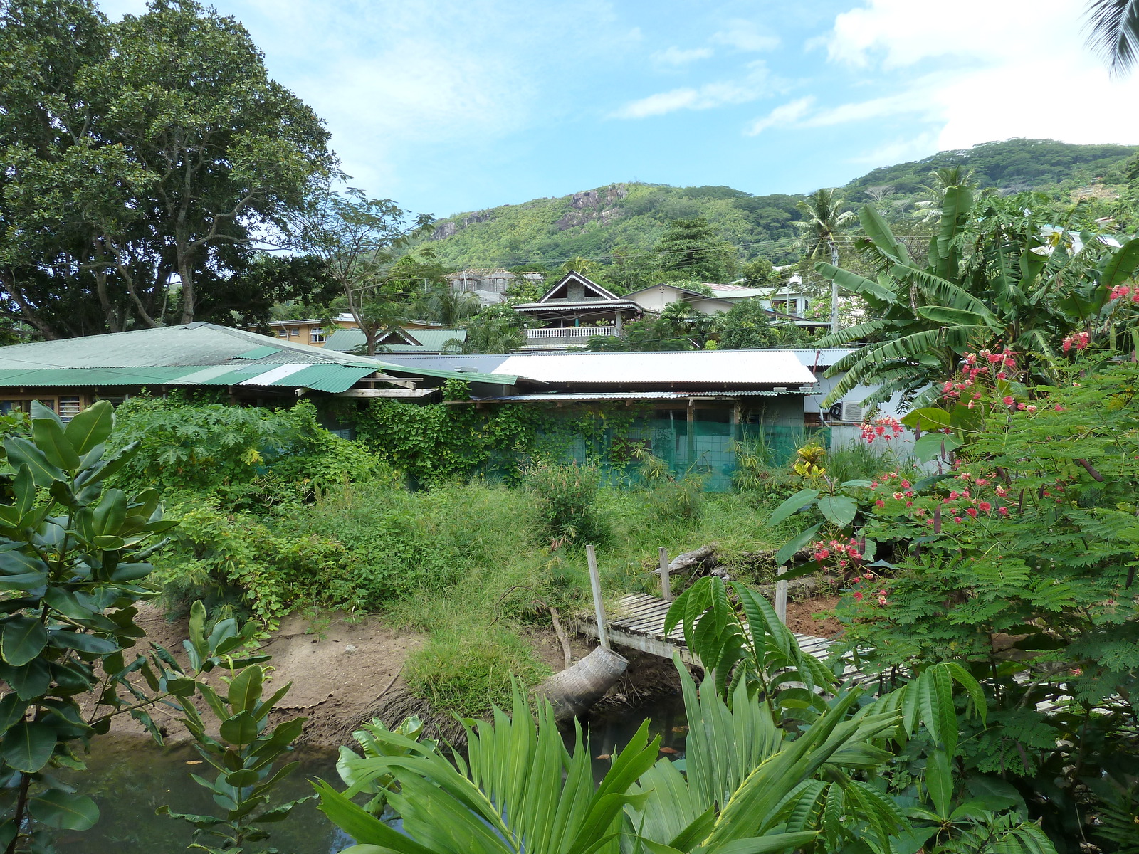Photo Seychelles Mahé 2011-10 53