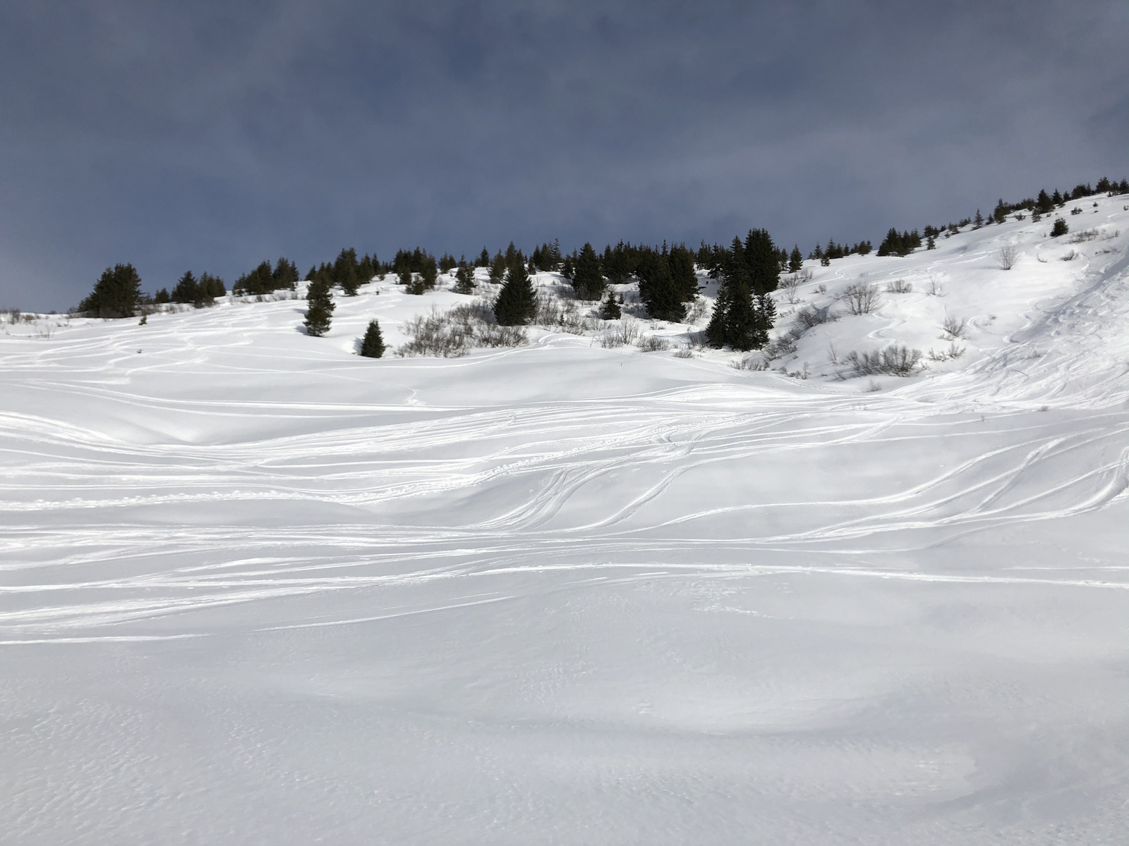 Photo France Praz sur Arly 2019-12 125
