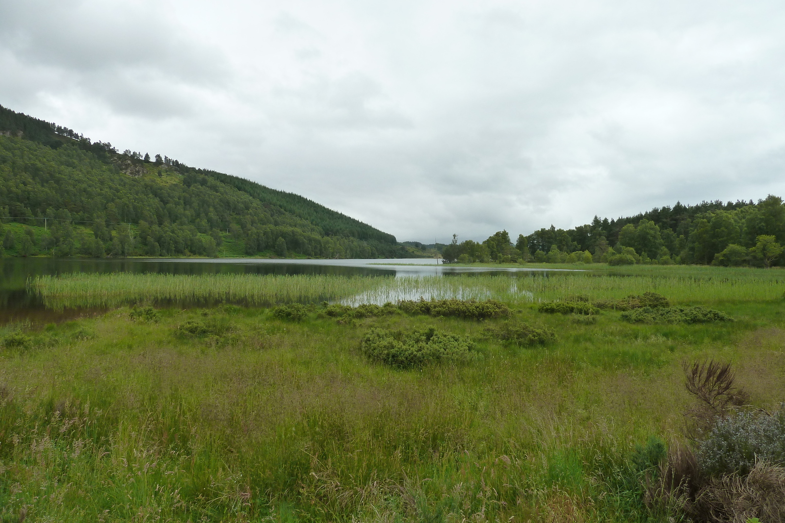 Photo Royaume-Uni Écosse Route de Forres à Aviemore 2011-07 2