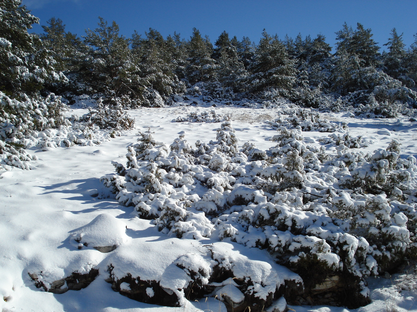 Photo France Gréolières les neiges 2007-01 14