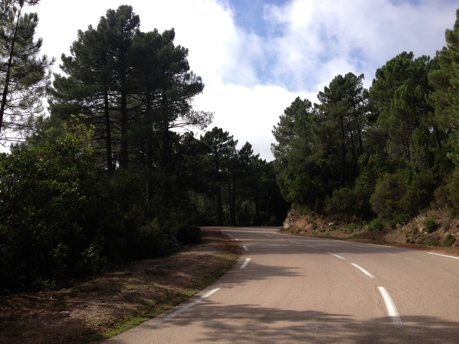Photo France Corse Forêt de l'Ospedale 2012-09 65
