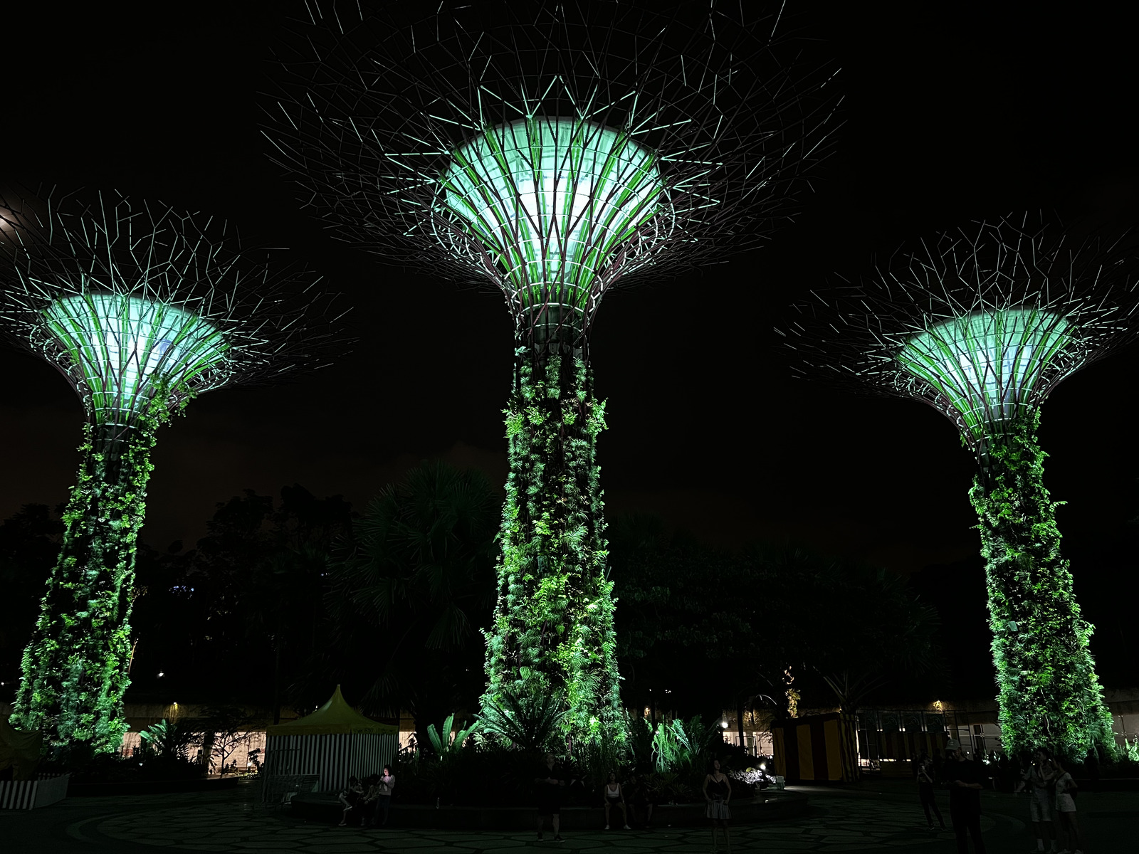 Photo Singapour Garden by the bay 2023-01 22