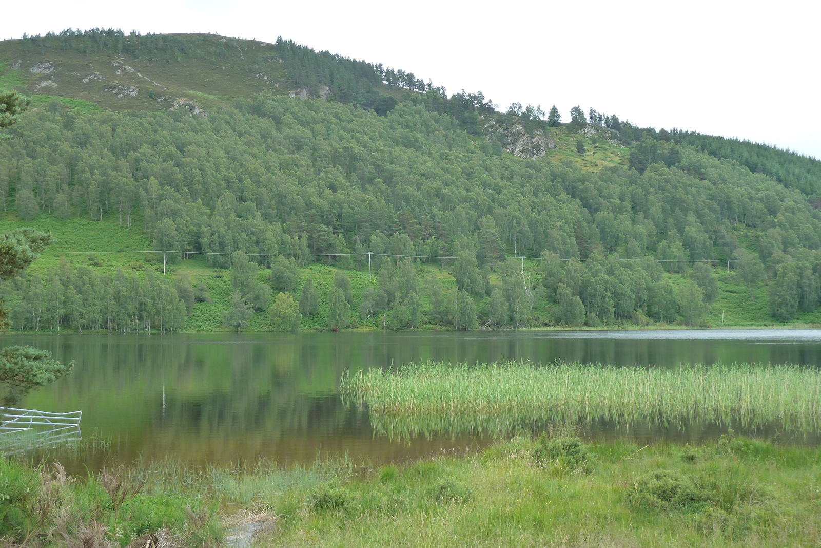 Photo Royaume-Uni Écosse Route de Forres à Aviemore 2011-07 21