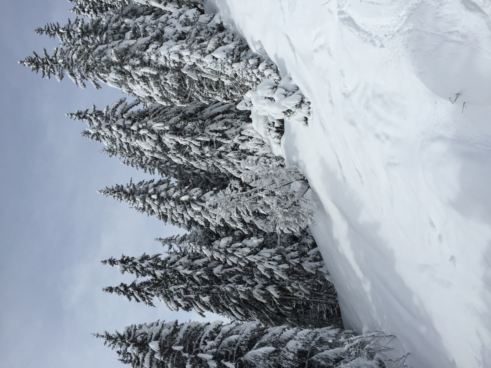 Photo France Megève 2016-02 41