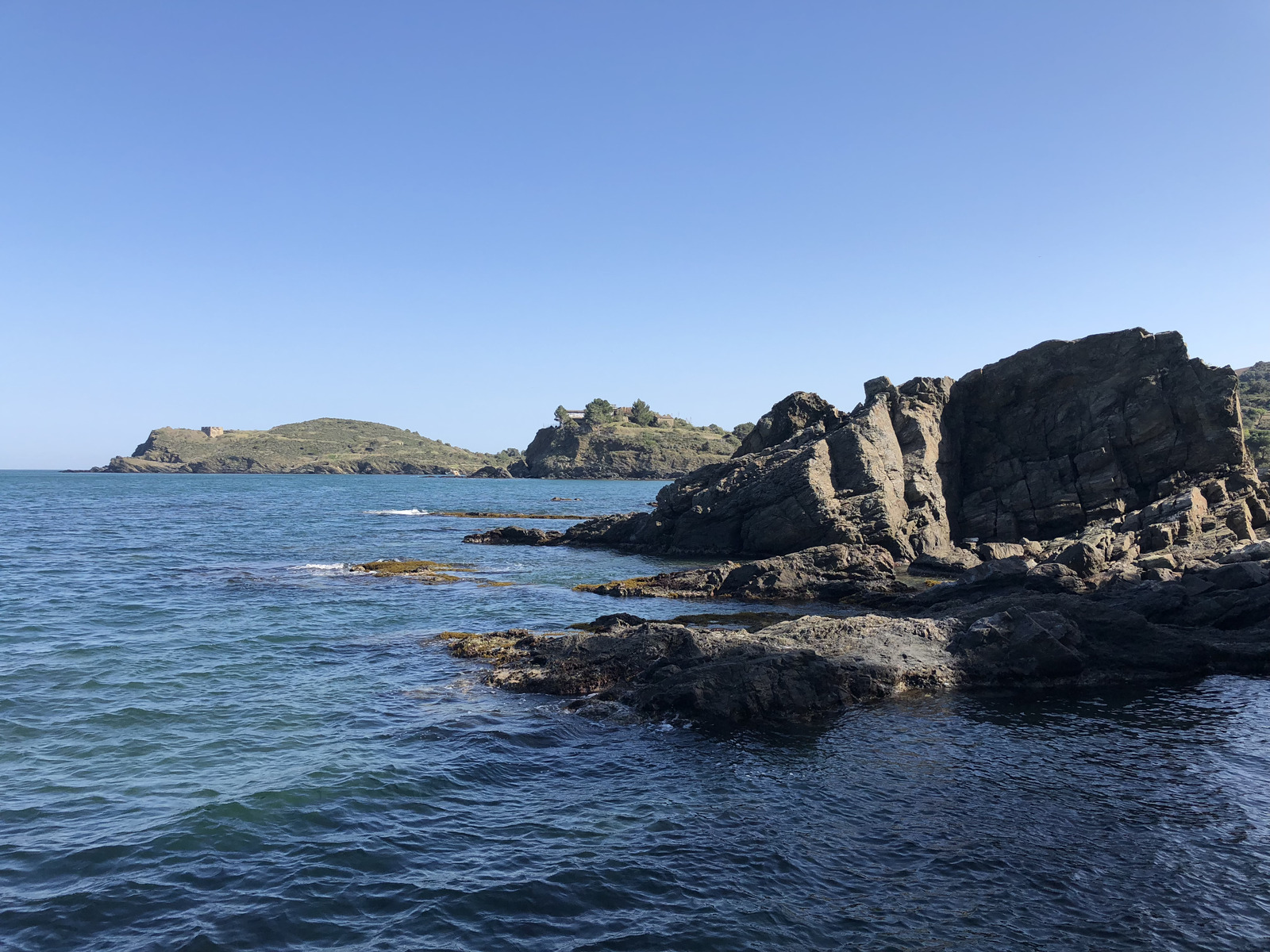 Photo France Collioure 2018-04 331