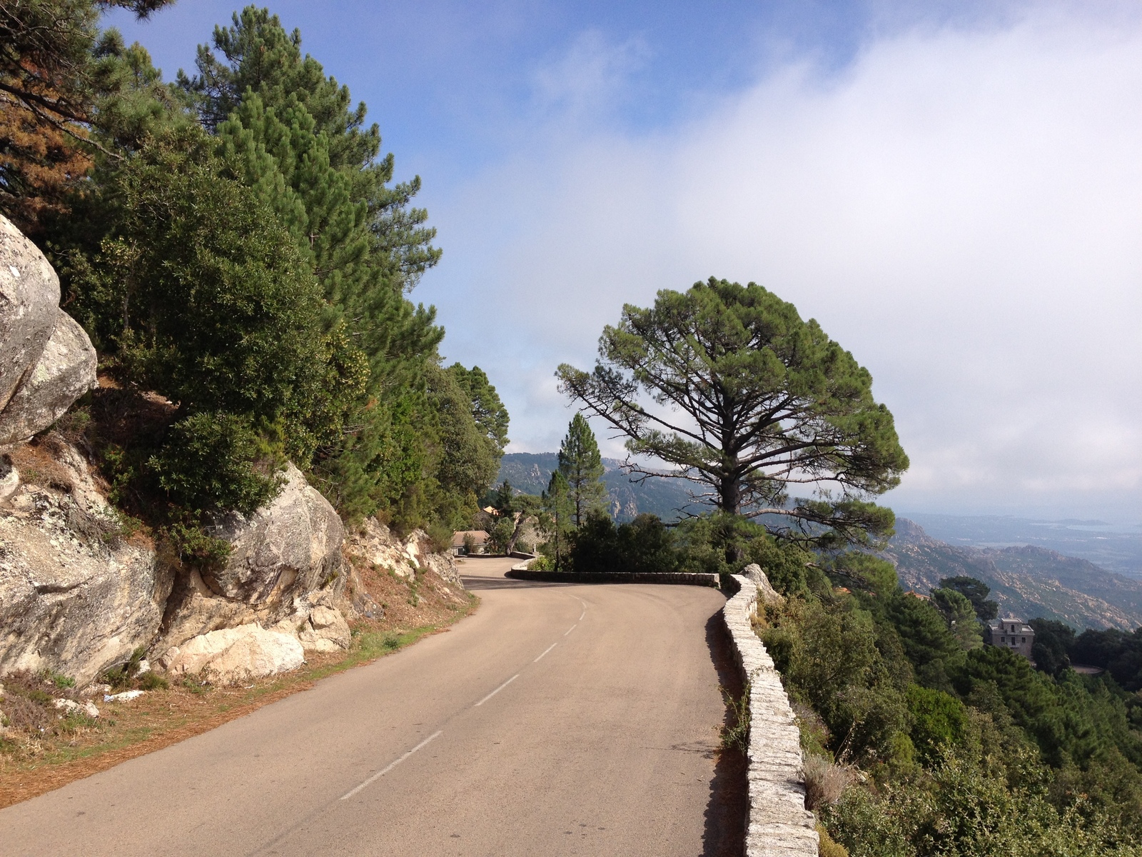 Photo France Corse Forêt de l'Ospedale 2012-09 14