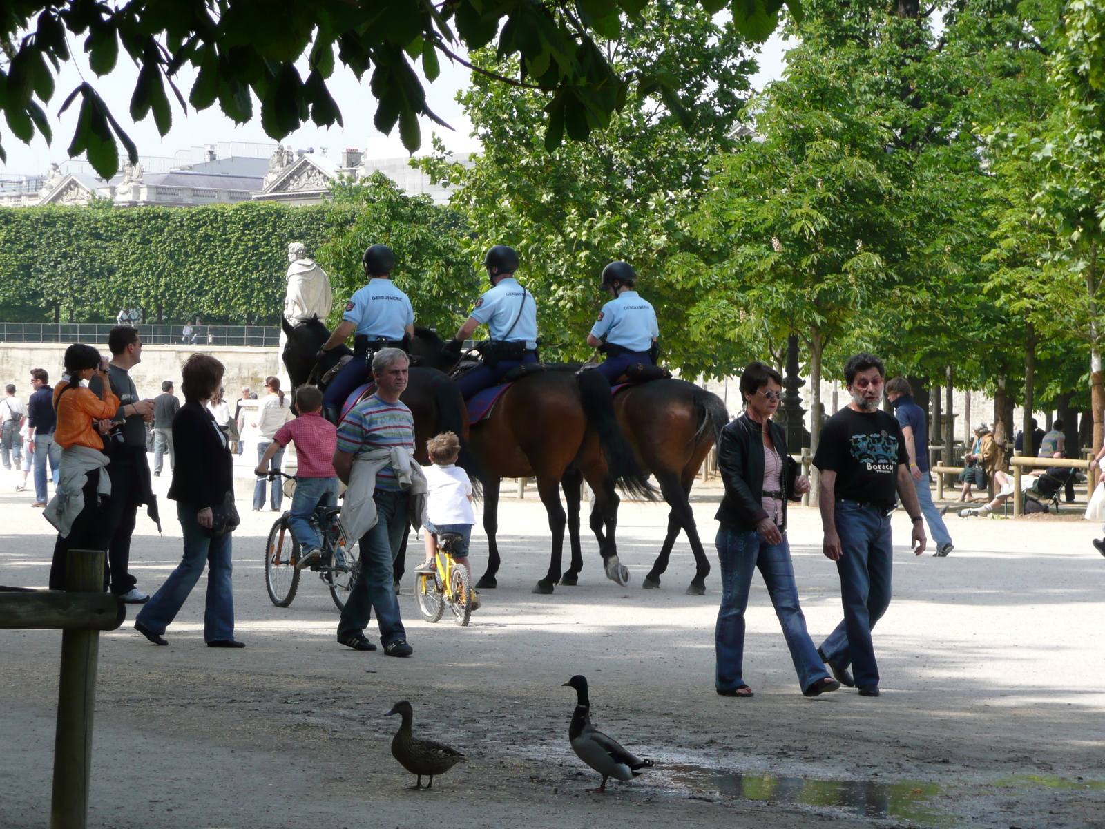 Photo France Paris Jardin des Tuileries 2007-05 360