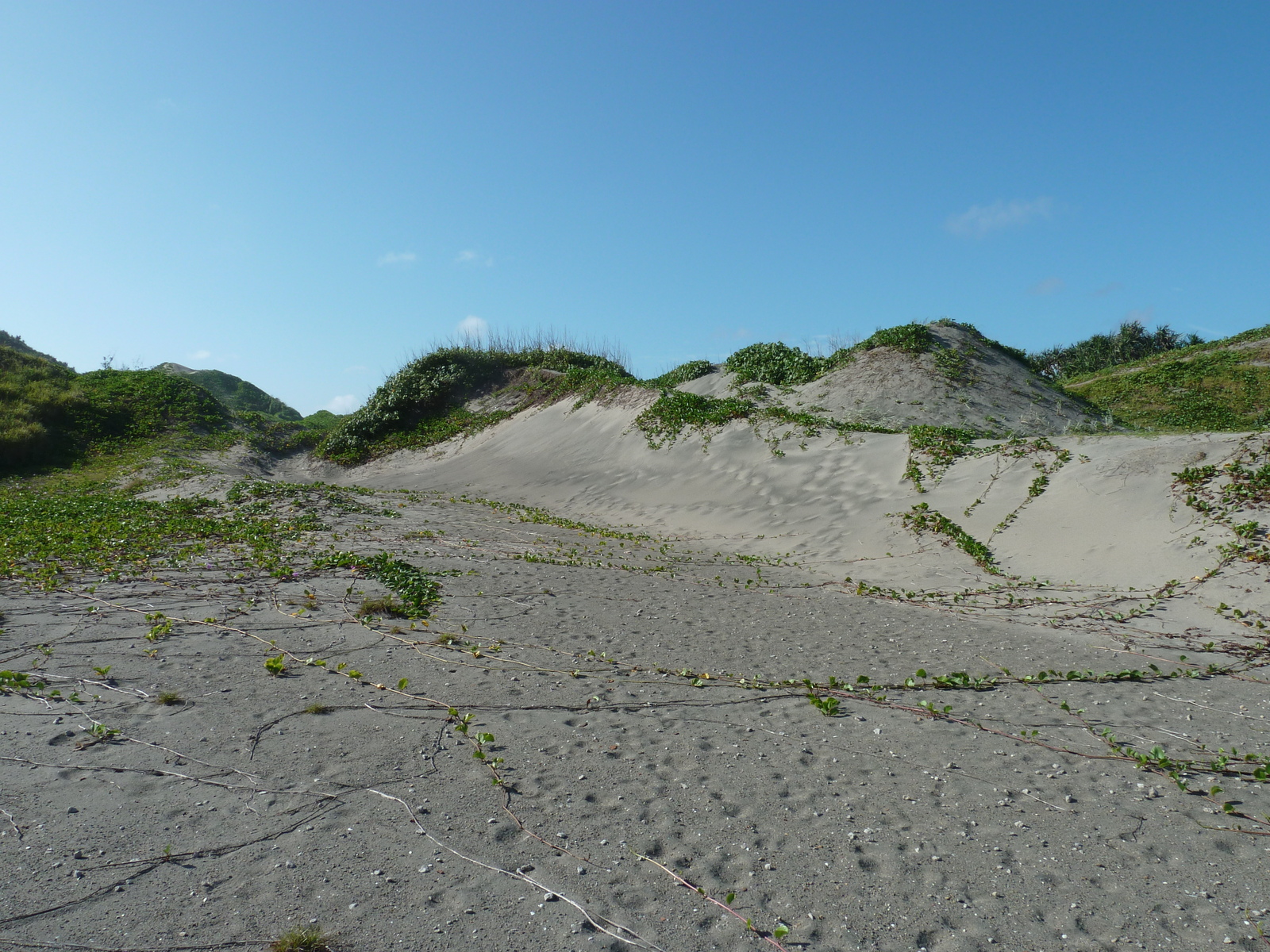 Photo Îles Fidji Parc des dunes de Sigatoka 2010-05 20