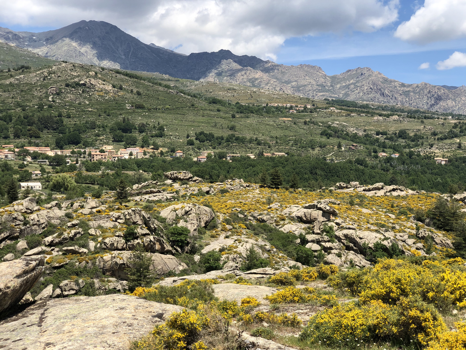 Photo France Corse Forêt d'Aïtone 2021-06 3