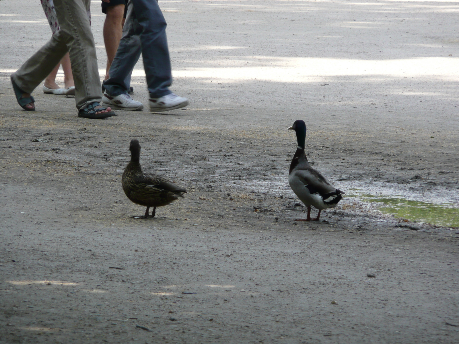 Photo France Paris Jardin des Tuileries 2007-05 358