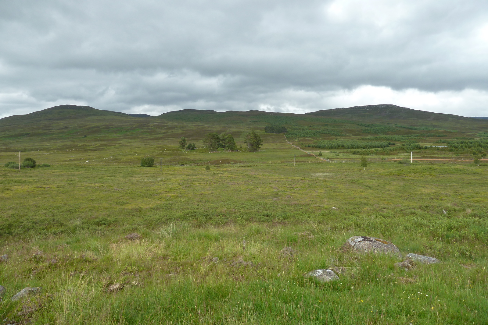 Photo Royaume-Uni Écosse Route de Forres à Aviemore 2011-07 3