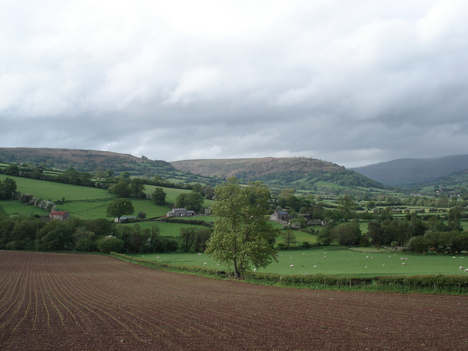 Photo Royaume-Uni Parc national des Brecon Beacons 2006-05 41
