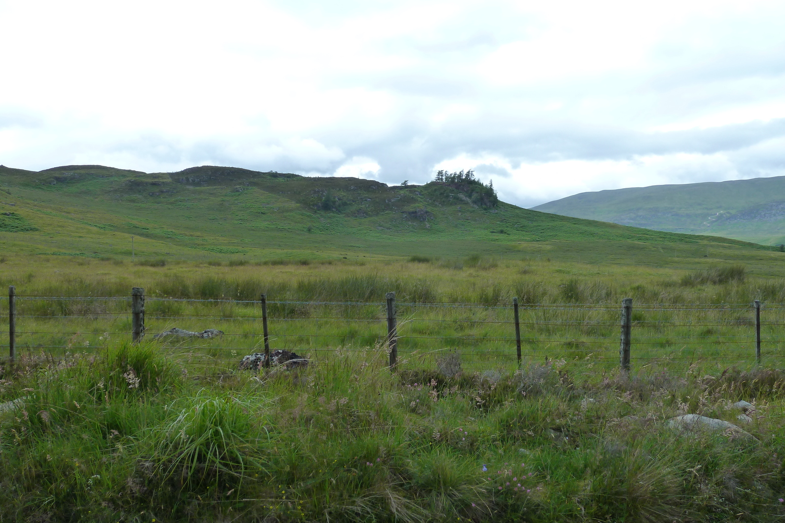 Photo Royaume-Uni Écosse Route de Forres à Aviemore 2011-07 5