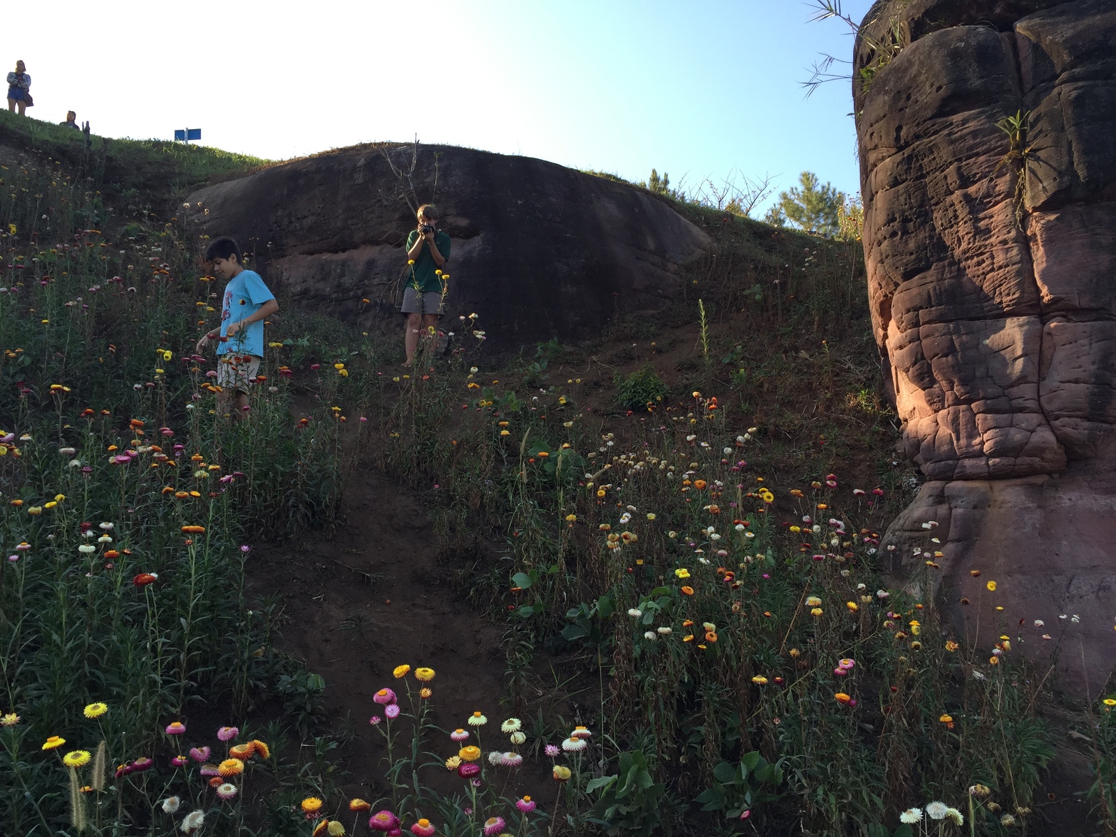 Photo Thaïlande Parc National Phu Hin Rong Kla 2014-12 76