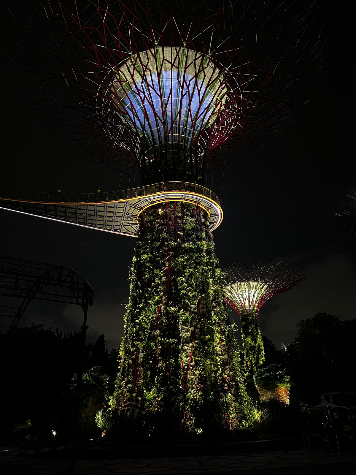Photo Singapour Garden by the bay 2023-01 39