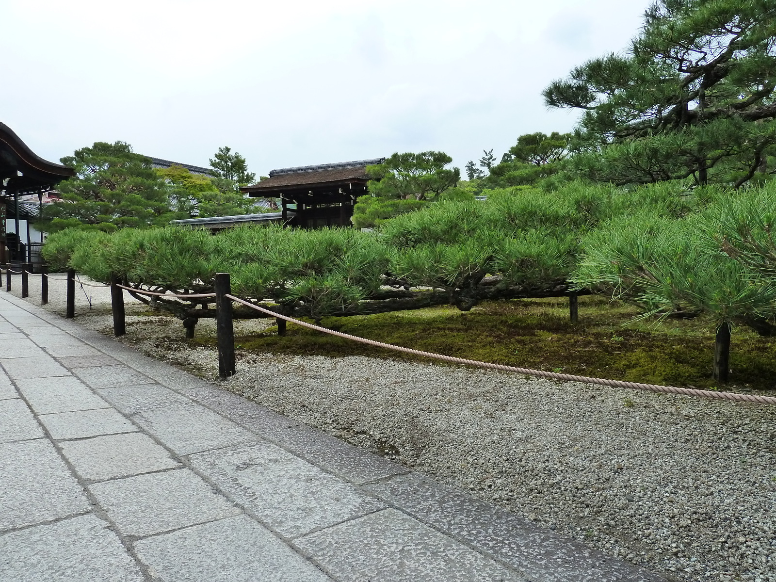 Photo Japon Kyoto résidence impériale Ninna ji 2010-06 30