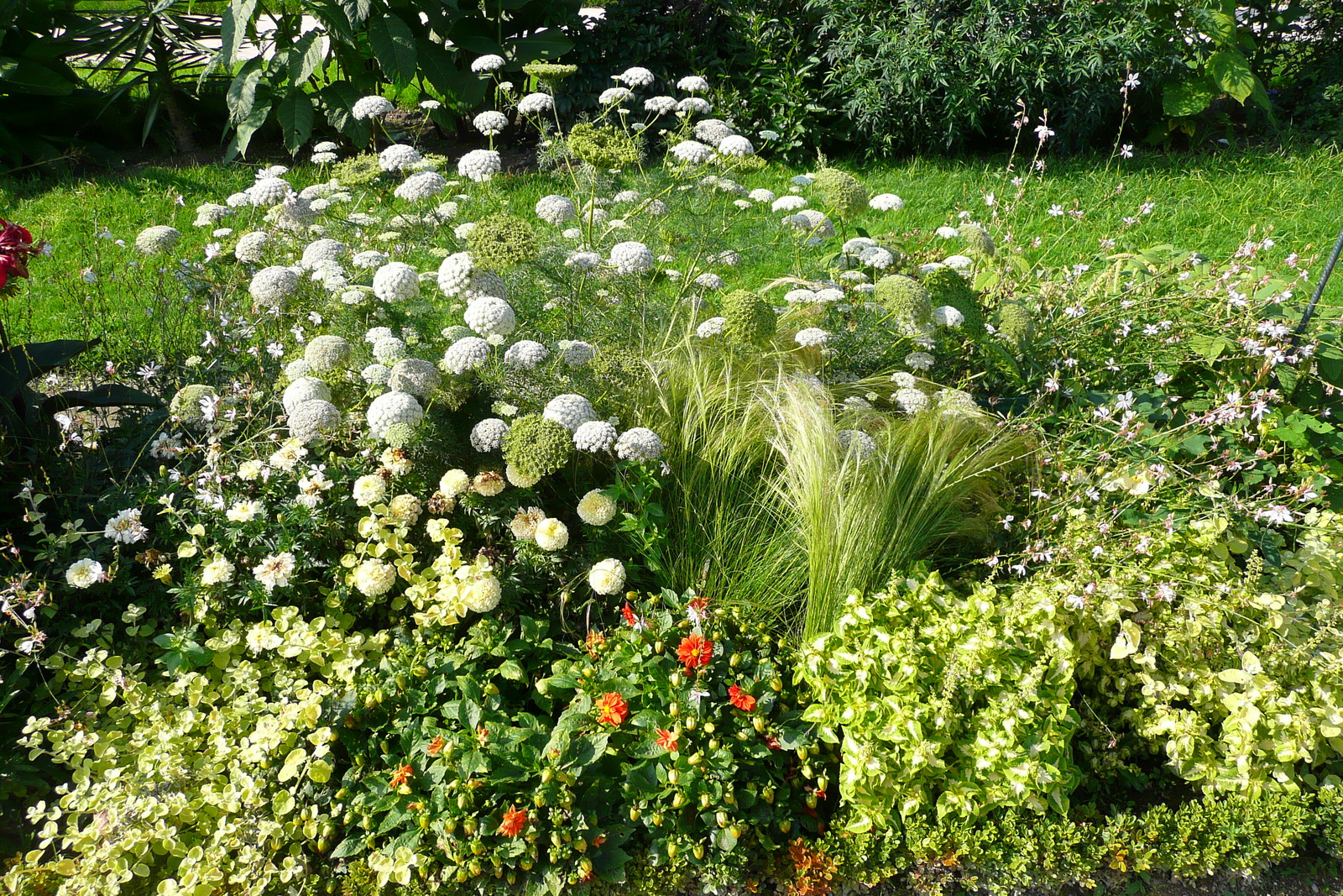 Photo France Paris Jardin des Plantes 2007-08 38