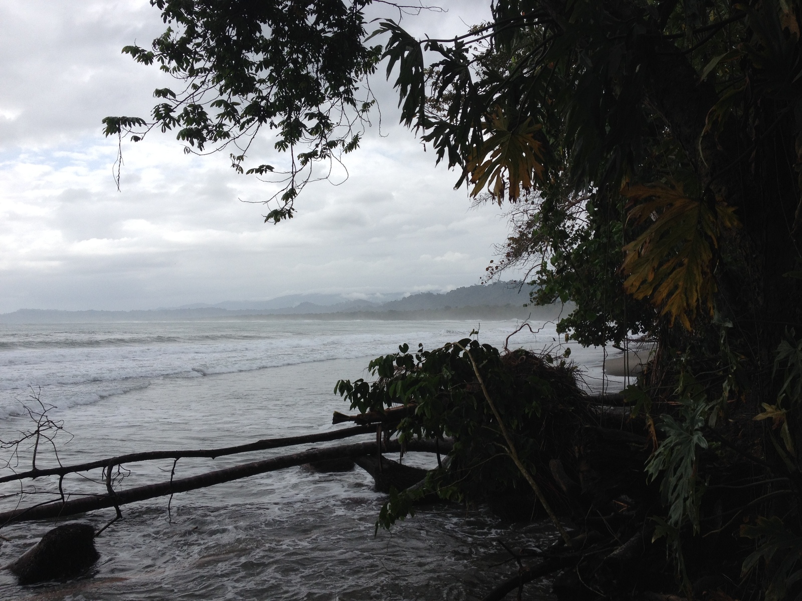 Photo Costa Rica Cahuita 2015-03 161